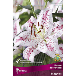 ����  ����� ��������� ������ (2 ��.), ������ �� 319 ���