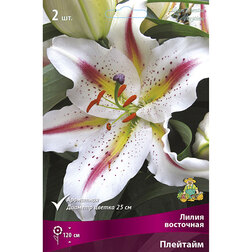 ����  ����� ��������� �������� (2 ��.), ������ �� 394 ���