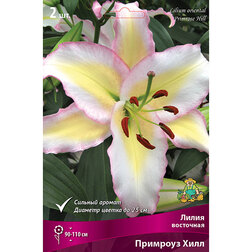 ����  ����� ��������� �������� ���� (2 ��.), ������ �� 448 ���