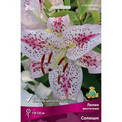 ����  ����� ��������� ������ (2 ��.), ������ �� 404 ���