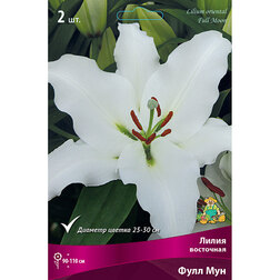 ����  ����� ��������� ���� ��� (2 ��.), ������ �� 319 ���