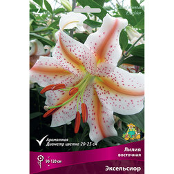 ����  ����� ��������� ���������� (2 ��.), ������ �� 404 ���