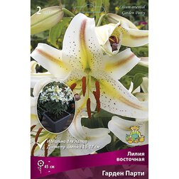 ����  ����� ��������� ��������� ������ ����� (2 ��.), ������ �� 380 ���