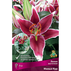 ����  ����� ��������� ��������� �����-��� (2 ��.), ������ �� 380 ���