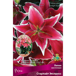 ����  ����� ��������� ��������� �������� �������� (2 ��.), ������ �� 380 ���