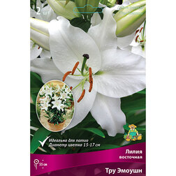 ����  ����� ��������� ��������� ��� ������ (2 ��.), ������ �� 380 ���