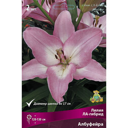 ����  ����� ��-������ ��������� (2 ��.), ������ �� 268 ���