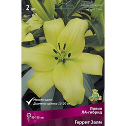 ����  ����� ��-������ ������ ���� (2 ��.), ������ �� 268 ���