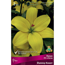 ����  ����� ��-������ ������ ����� (2 ��.), ������ �� 380 ���