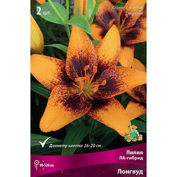 ����  ����� ��-������ ������� (2 ��.), ������ �� 380 ���