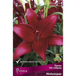 ����  ����� ��-������ ��������� (2 ��.), ������ �� 292 ���