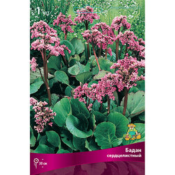 ����  ����� �������������, ������ �� 336 ���