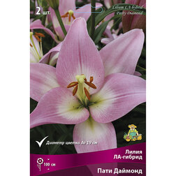 ����  ����� ��-������ ���� ������� (2 ��.), ������ �� 268 ���