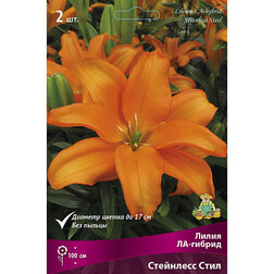 ����  ����� ��-������ ��������� ���� (2 ��.), ������ �� 380 ���