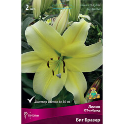 ����  ����� ��-������ ��� ������ (2 ��.), ������ �� 357 ���