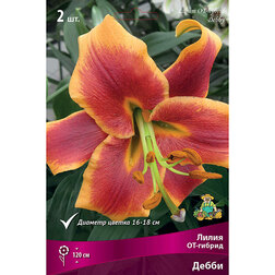 ����  ����� ��-������ ����� (2 ��.), ������ �� 421 ���