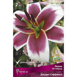 ����  ����� ��-������ ������ �������� (2 ��.), ������ �� 421 ���