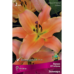 ����  ����� ��-������ ������� (2 ��.), ������ �� 370 ���