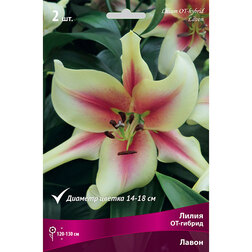 ����  ����� ��-������ ����� (2 ��.), ������ �� 319 ���