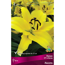 ����  ����� ��-������ ������ (2 ��.), ������ �� 319 ���