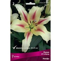 ����  ����� ��-������ ����� (2 ��.), ������ �� 319 ���