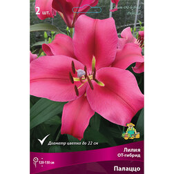 ����  ����� ��-������ ������� (2 ��.), ������ �� 357 ���