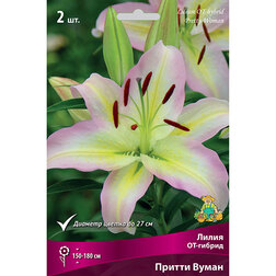 ����  ����� ��-������ ������ ����� (2 ��.), ������ �� 319 ���