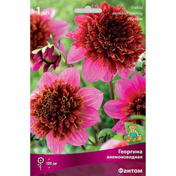 ����  �������� ������������� ������ (1 ��.), ������ �� 433 ���