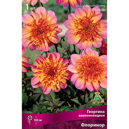 ����  �������� ������������� �������� (1 ��.), ������ �� 445 ���