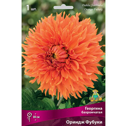 ����  �������� ����������� ������ ������ (1 ��.), ������ �� 445 ���