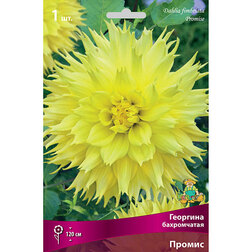 ����  �������� ����������� ������ (1 ��.), ������ �� 445 ���