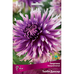 ����  �������� ����������� ����� ������ (1 ��.), ������ �� 462 ���