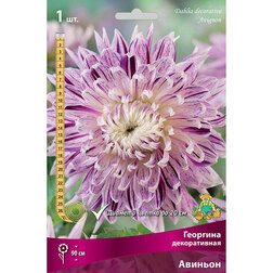 ����  �������� ������������ ������� (1 ��.), ������ �� 445 ���