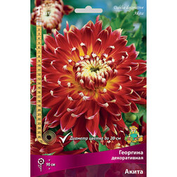 ����  �������� ������������ ����� (1 ��.), ������ �� 433 ���