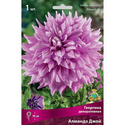 ����  �������� ������������ ������� ���� (1 ��.), ������ �� 462 ���