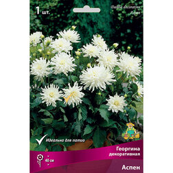 ����  �������� ������������ ����� (1 ��.), ������ �� 445 ���