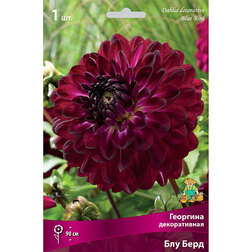 ����  �������� ������������ ��� ���� (1 ��.), ������ �� 433 ���