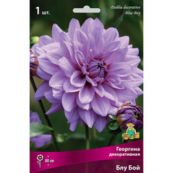 ����  �������� ������������ ��� ��� (1 ��.), ������ �� 462 ���