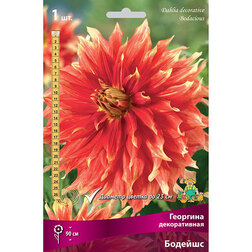 ����  �������� ������������ ������� (1 ��.), ������ �� 462 ���