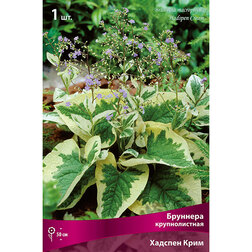 ����  �������� ������������� ������� ����, ������ �� 697 ���