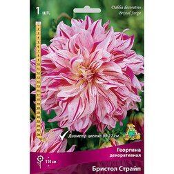 ����  �������� ������������ ������� ������ (1 ��.), ������ �� 462 ���