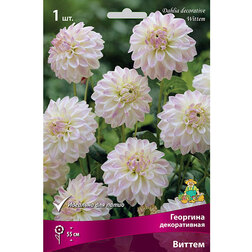 ����  �������� ������������ ������ (1 ��.), ������ �� 433 ���