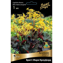 ����  ��������� �������� ����� ���� ��������, ������ �� 717 ���