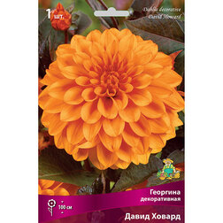 ����  �������� ������������ ����� ������ (1 ��.), ������ �� 484 ���