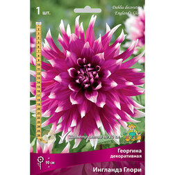 ����  �������� ������������ �������� ����� (1 ��.), ������ �� 462 ���