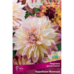 ����  �������� ������������ �������� ������� (1 ��.), ������ �� 462 ���