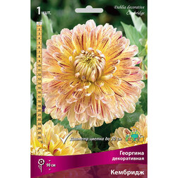 ����  �������� ������������ �������� (1 ��.), ������ �� 445 ���