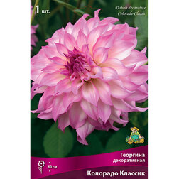 ����  �������� ������������ �������� ������� (1 ��.), ������ �� 462 ���