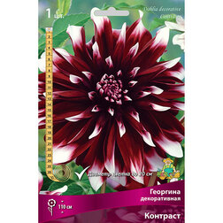 ����  �������� ������������ �������� (1 ��.), ������ �� 484 ���