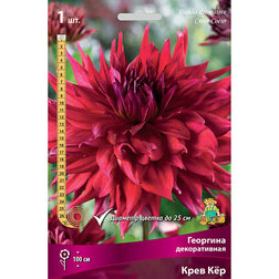 ����  �������� ������������ ���� ʸ� (1 ��.), ������ �� 462 ���